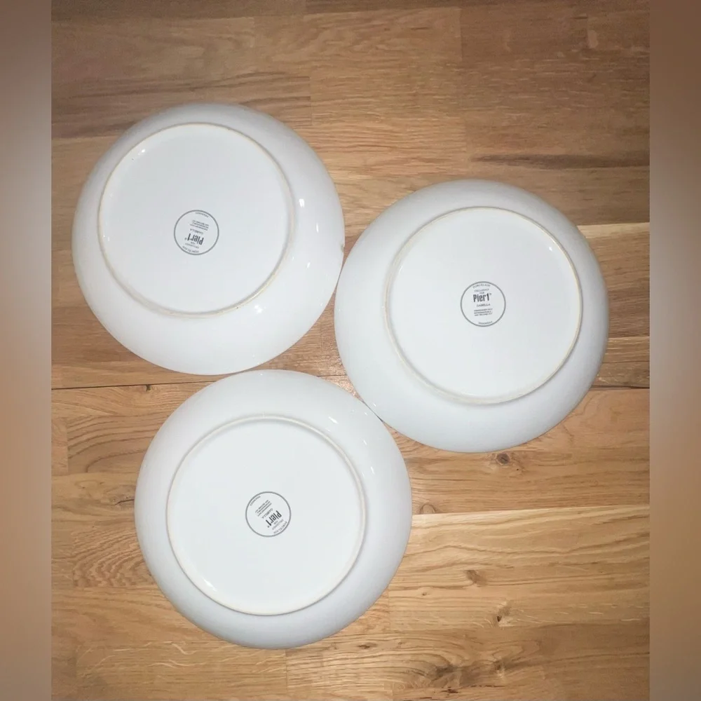 Pier 1 Imports Gabriella dinner Plate 10”